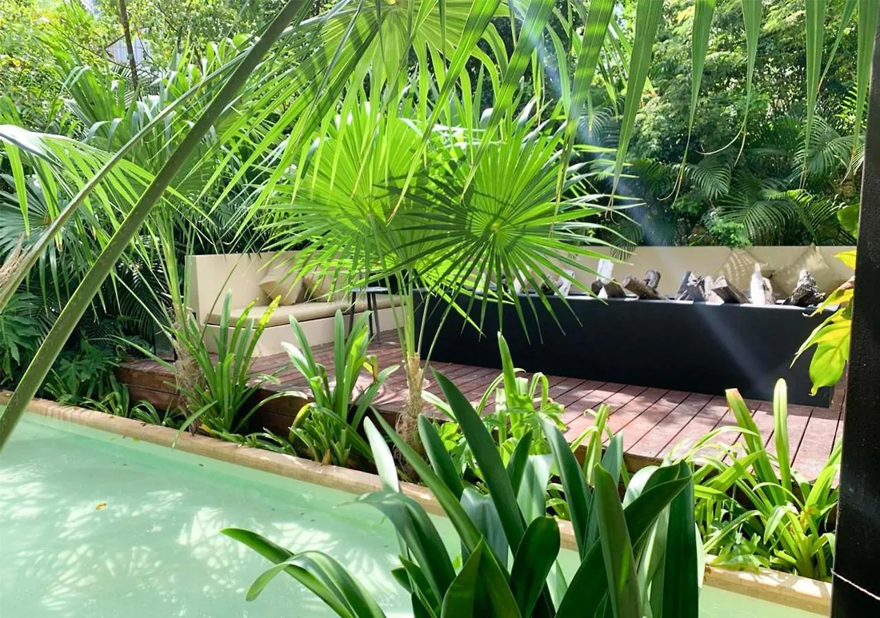 Serenity Studios - Lujo Boho En Tulum La Veleta Appartement
